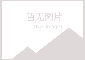 阳江冰夏零售有限公司